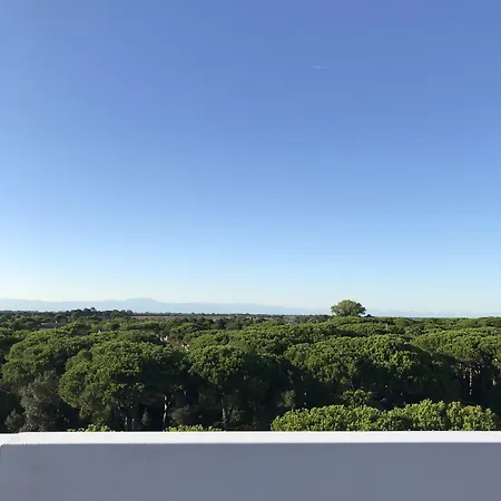 Hotel Aparthotelharvey 4*