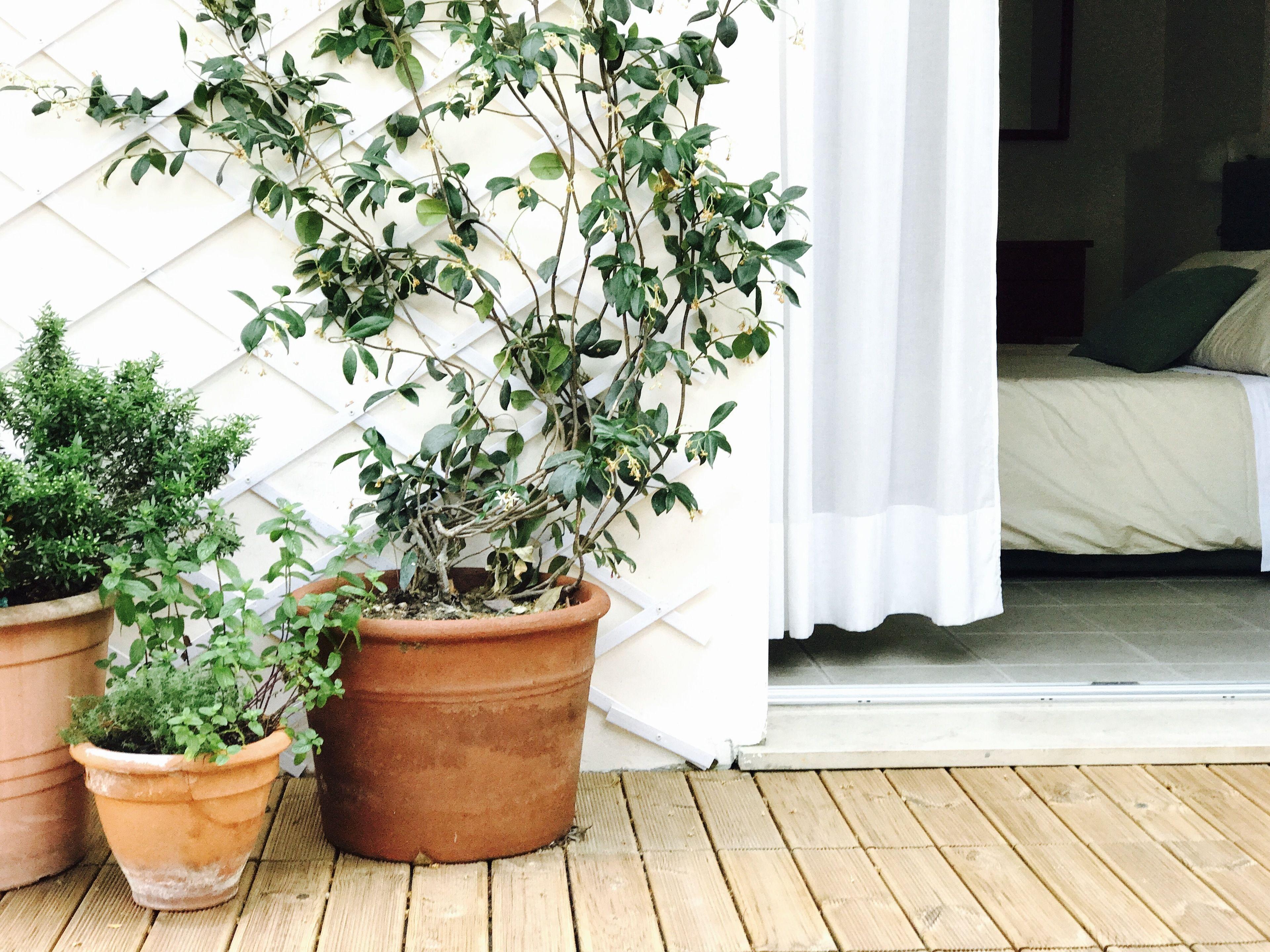 Hotel Aparthotelharvey 4*