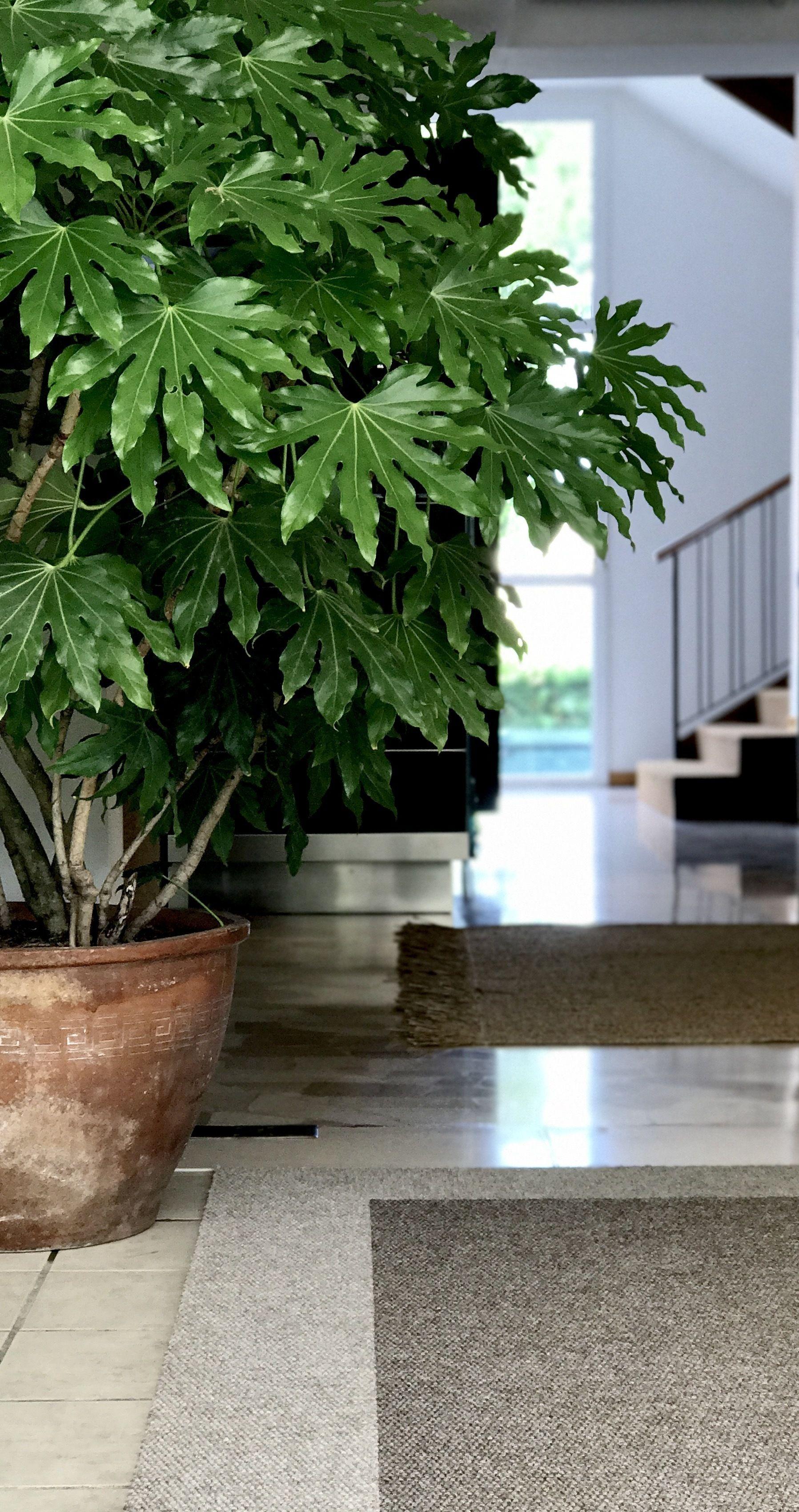 Aparthotelharvey 4* Lido di Jesolo