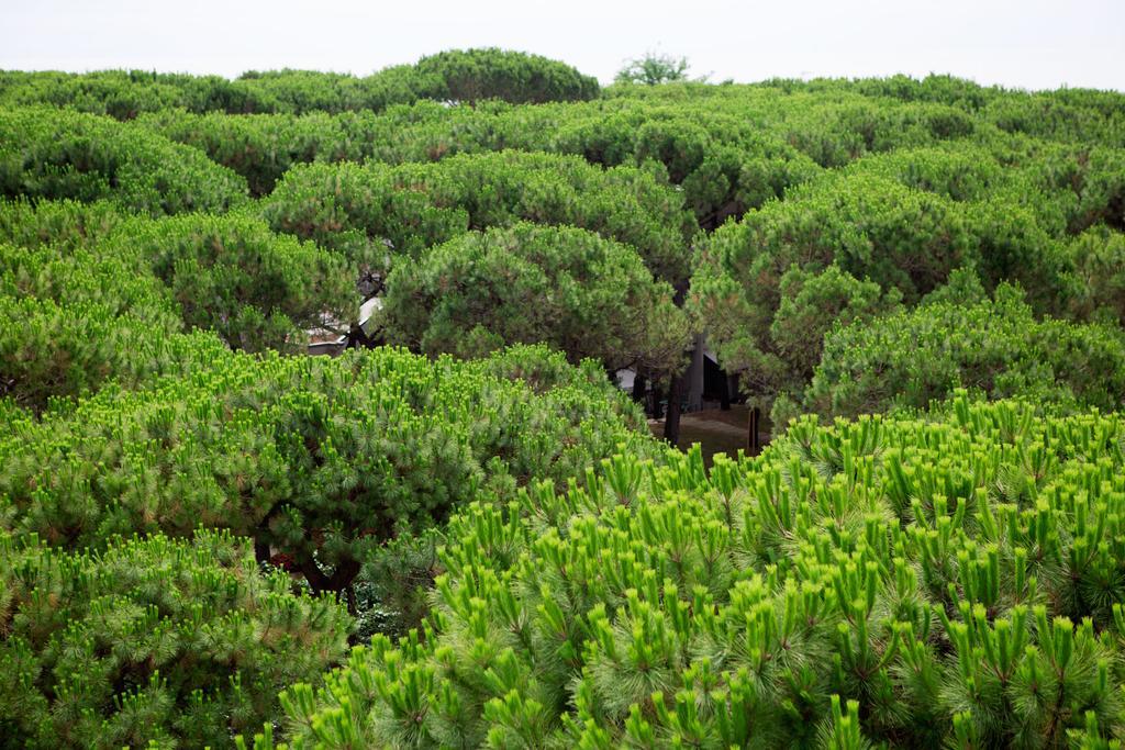 Aparthotelharvey Hotel 4*