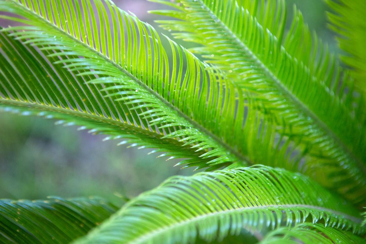 Aparthotelharvey Hotel 4*